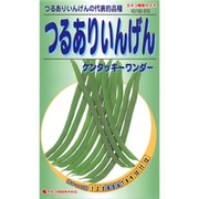 KS100シリーズ(野菜) No.510 つるありいんげん ケンタッキーワンダー