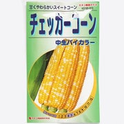 KS100シリーズ（野菜） No.513 チェッカーコーン 中生バイカラー