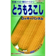 KS100シリーズ [とうもろこし ロッキーバンタム 野菜100 514]
