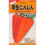KS100シリーズ 時無五寸人参 野菜100 515