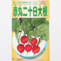 ヨドバシ Com カネコ種苗 ジェーガーデン J Garden Ks100シリーズ 野菜 No 519 赤丸二十日大根 通販 全品無料配達