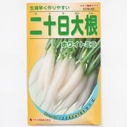 KS100シリーズ（野菜） No.520 二十日大根 ホワイトミニ