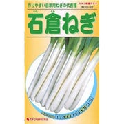 KS100シリーズ（野菜） No.523 石倉ねぎ