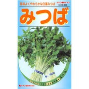 KS100シリーズ（野菜） No.532 みつば （白茎みつば）