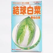 KS100シリーズ（野菜） No.533 結球白菜 愛知白菜