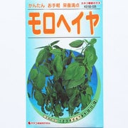 KS100シリーズ（野菜） No.535 モロヘイヤ