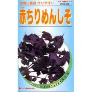 KS100シリーズ（野菜） No.536 赤ちりめんしそ