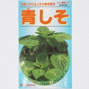 KS100シリーズ（野菜） No.537 青しそ