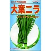 KS100シリーズ [大葉ニラ チャイアントベルト 野菜100 541]