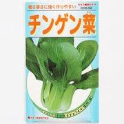 KS100シリーズ（野菜） No.543 チンゲン菜