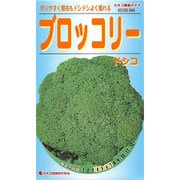 KS100シリーズ（野菜） No.544 ブロッコリー ドシコ