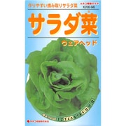 KS100シリーズ（野菜） No.545 サラダ菜 ウェアヘッド
