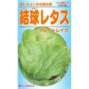 KS100シリーズ（野菜） No.546 結球レタス グレイトレイク