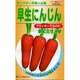 早生にんじん 鮮紅三寸人参 野菜100 550 KS100シリーズ