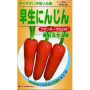 KS100シリーズ [早生にんじん 鮮紅三寸人参 野菜100 550]