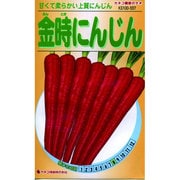KS100シリーズ [金時にんじん 野菜100 557]