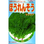 KS100シリーズ [ほうれんそう サンビア 野菜100 558]