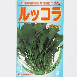 ヨドバシ Com カネコ種苗 ジェーガーデン J Garden Ks100シリーズ 野菜 No 564 ルッコラ ロケット 通販 全品無料配達