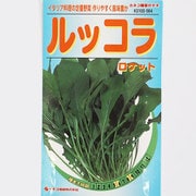 KS100シリーズ（野菜） No.564 ルッコラ ロケット
