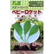 KS100シリーズ（野菜） No.703 ベビーリーフ ベビーロケット ルッコラ