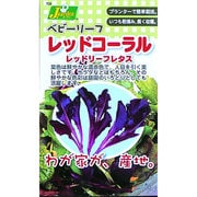 KS100シリーズ [レッドコーラル レッドリーフレタス 野菜100 706]