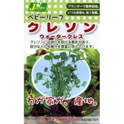 KS100シリーズ(野菜) No.707 ベビーリーフ クレソン ウォータークレス