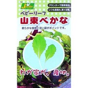 KS100シリーズ [山東べかな 野菜100 712]