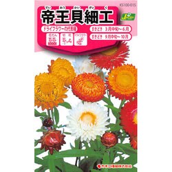 ヨドバシ Com カネコ種苗 ジェーガーデン J Garden Ks100シリーズ 草花 No 015 帝王貝細工 通販 全品無料配達