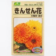 KS100シリーズ（草花） No.020 きんせん花 大輪咲・混合