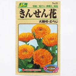 草花百種　全4冊 身近な草花300〈郊外〉 (ポケット図鑑) | 亀田龍吉 |本 | 通販