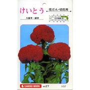 KS100シリーズ（草花） No.027 けいとう 久留米・緋赤
