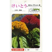 KS100シリーズ（草花） No.030 けいとう とさか・混合