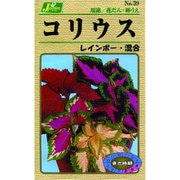 KS100シリーズ（草花） No.039 コリウス レインボー・混合