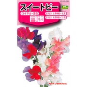 KS100シリーズ（草花） No.049 スイートピー ロイヤル・混合