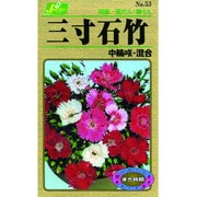 KS100シリーズ [三寸石竹 中輪咲 混合 草花100 053]