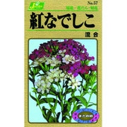 KS100シリーズ [紅なでしこ 混合 草花100 057]