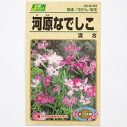 KS100シリーズ（草花） No.058 河原なでしこ 混合
