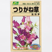 KS100シリーズ（草花） No.062 つりがね草 風鈴草