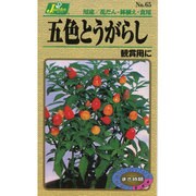 KS100シリーズ [五色とうがらし 観賞用に 草花100 065]
