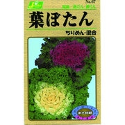 KS100シリーズ [葉ぼたん ちりめん 混合 草花100 067]