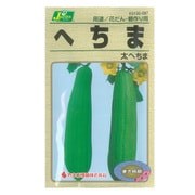 KS100シリーズ（草花） No.097 へちま 太へちま