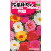KS100シリーズ（草花） No.101 松葉ぼたん 八重咲・混合