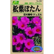 KS100シリーズ（草花） No.102 松葉ぼたん 巨大輪咲・ジュエル