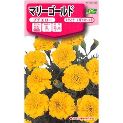 ヨドバシ.com - カネコ種苗 ジェーガーデン J.garden KS100
