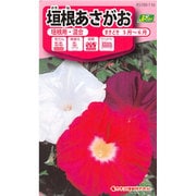 KS100シリーズ（草花） No.116 垣根あさがお 垣根用・混合