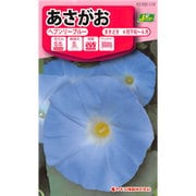 KS100シリーズ（草花） No.118 あさがお ヘブンリーブルー