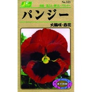 KS100シリーズ [パンジー 大輪咲 赤花 草花100 121]