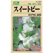 KS100シリーズ（草花） No.128 スイートピー ロイヤル・白花