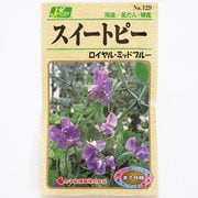 KS100シリーズ（草花） No.129 スイートピー ロイヤルミッドブルー