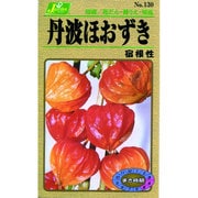 KS100シリーズ [丹波ほおずき 宿根性 草花100 130]
